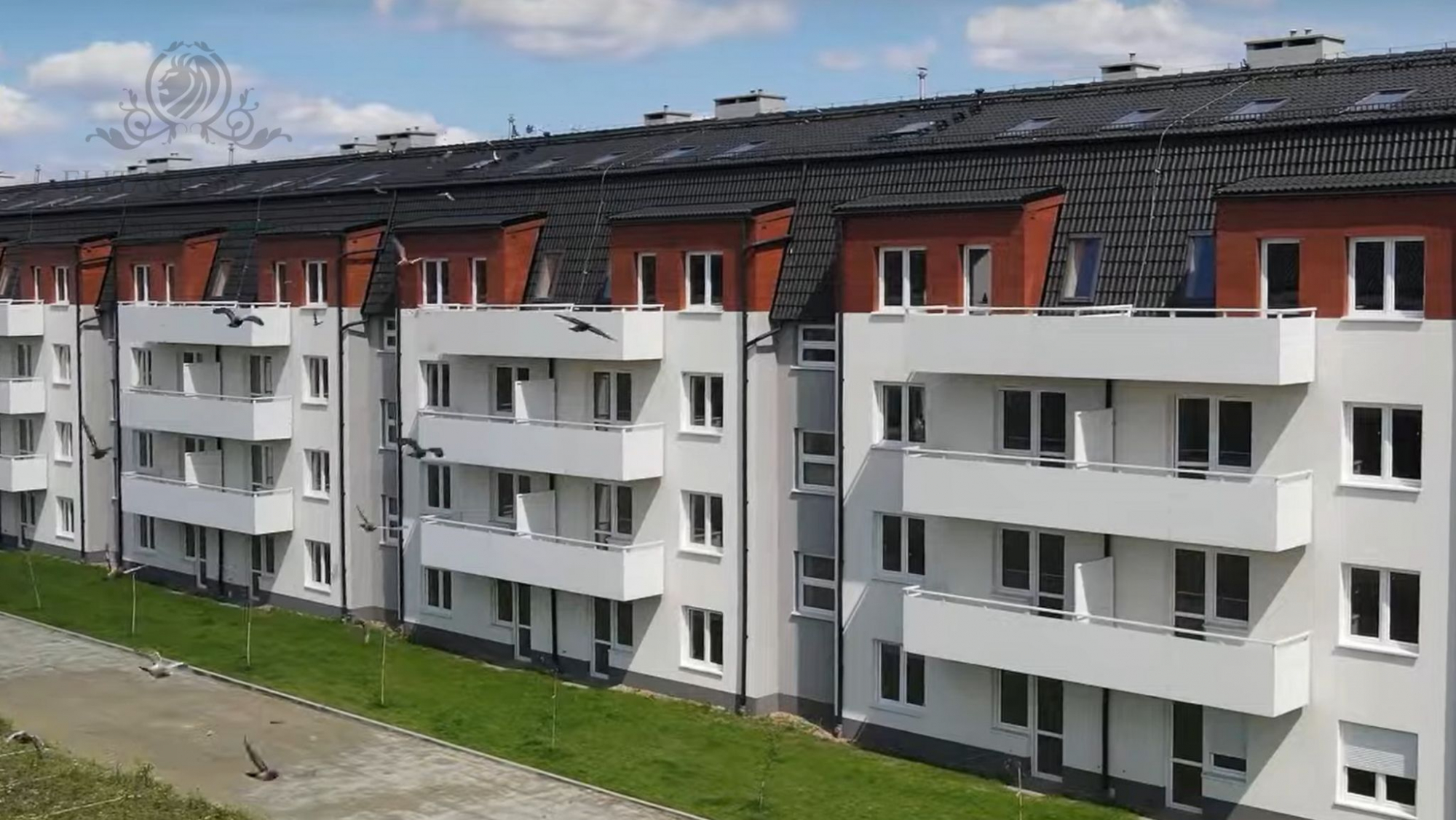 Piękne 3pok.mieszkanie z balkonem/w spokojnej okolicy/blisko Wrocławia Smolec - zdjęcie 5