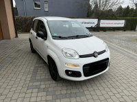 Fiat Panda !! Rezerwacja !! Orzech - zdjęcie 3