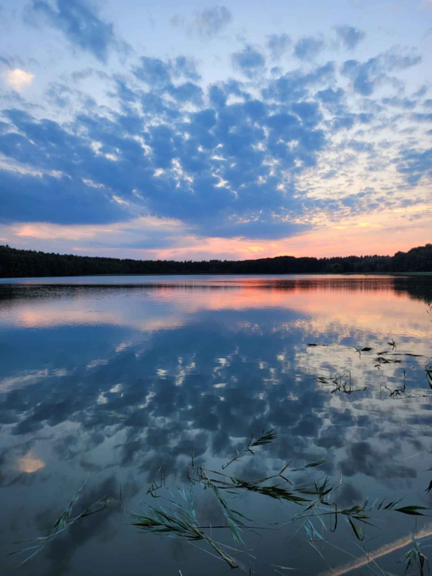 Pole kamperowe Stępień - zdjęcie 4