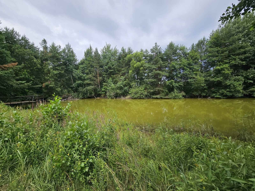 Działka budowlana (6000 m2) JEZIORO/LAS (Drogoszowice) Drogoszowice - zdjęcie 7
