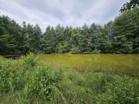 Działka budowlana (6000 m2) JEZIORO/LAS (Drogoszowice) Drogoszowice - zdjęcie 7