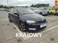 Škoda RAPID Salon Polska fv23%