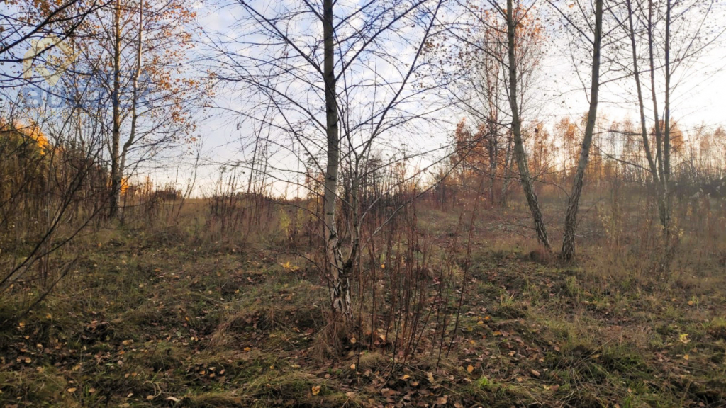 Sprzedam działkę budowlaną w Nowych Mostkach Nowe Mostki - zdjęcie 7