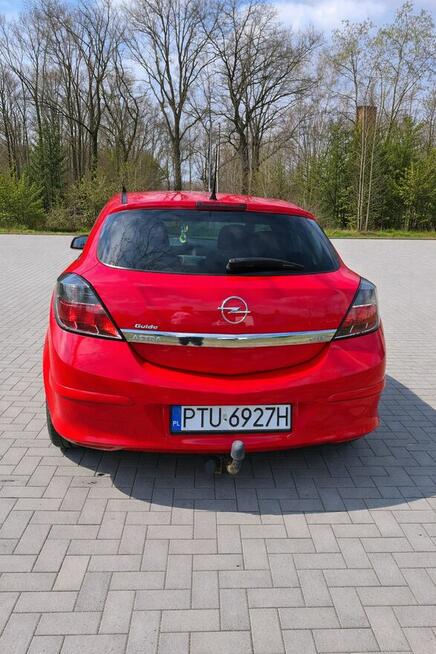 Sprzedam Turek - zdjęcie 3