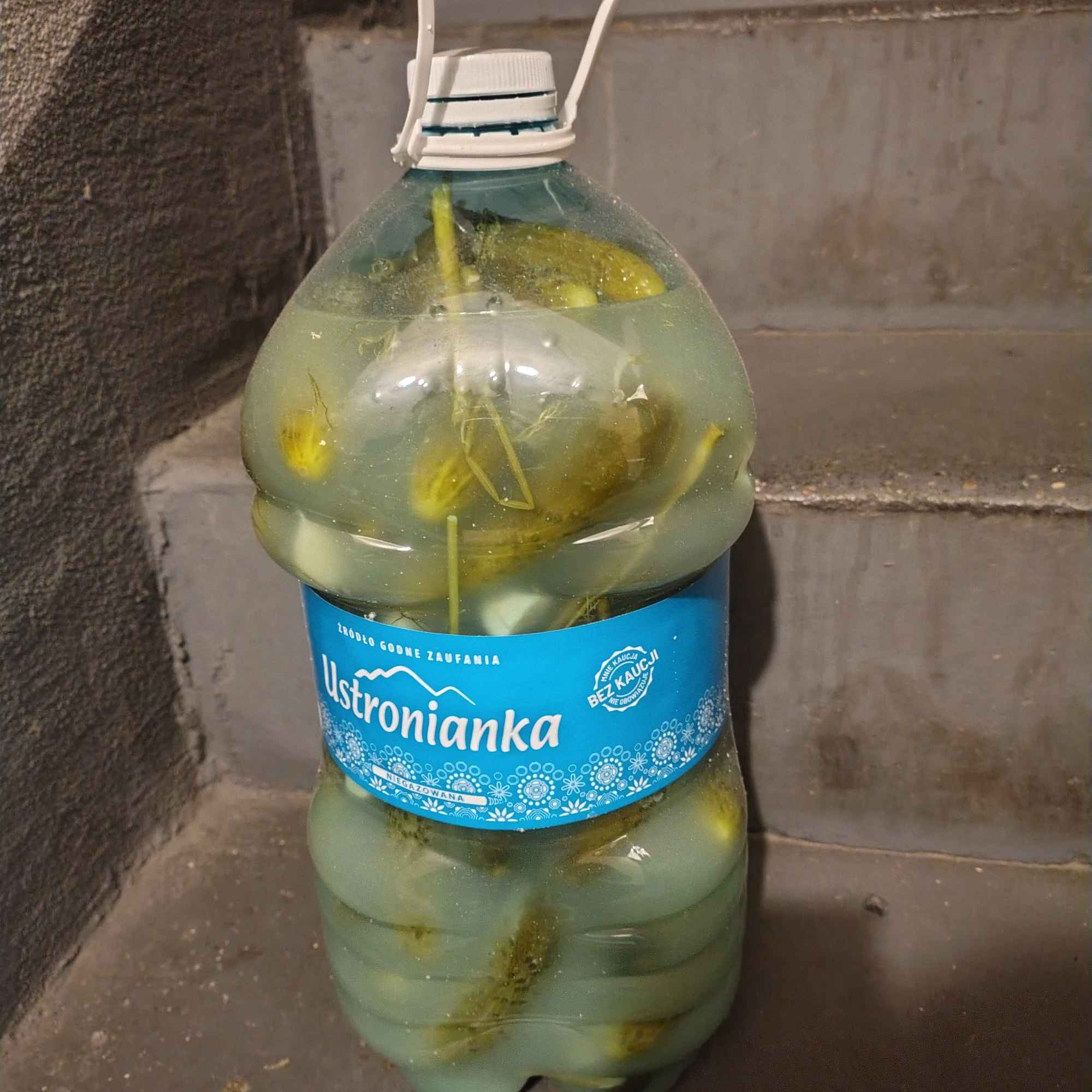 ogórki kiszone Koszęcin - zdjęcie 1