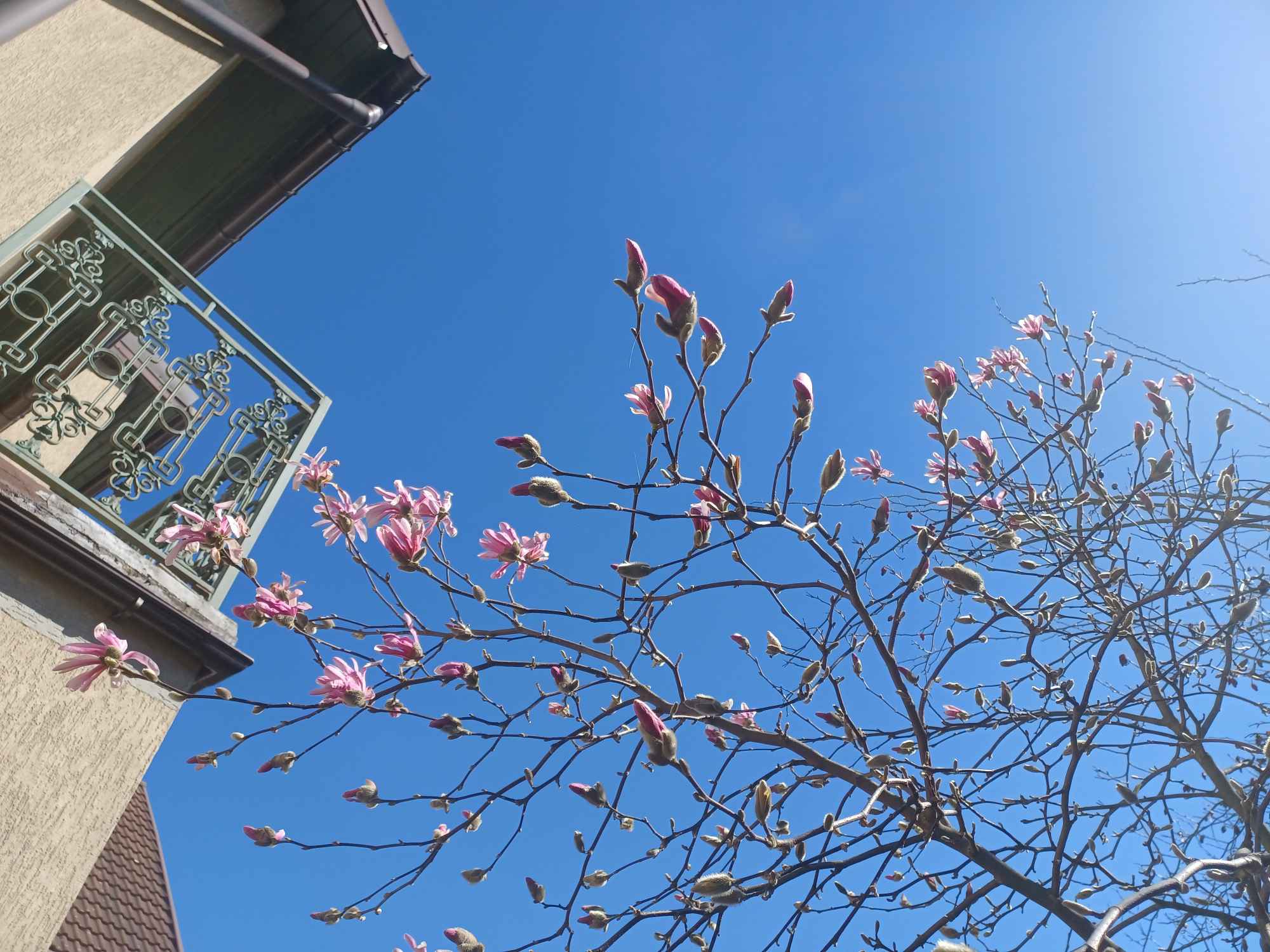 Rzeźby, Statuetki, Altany, Brąz, Mosiądz, stal inox, Odlewnia Sobowidz Gdańsk - zdjęcie 7