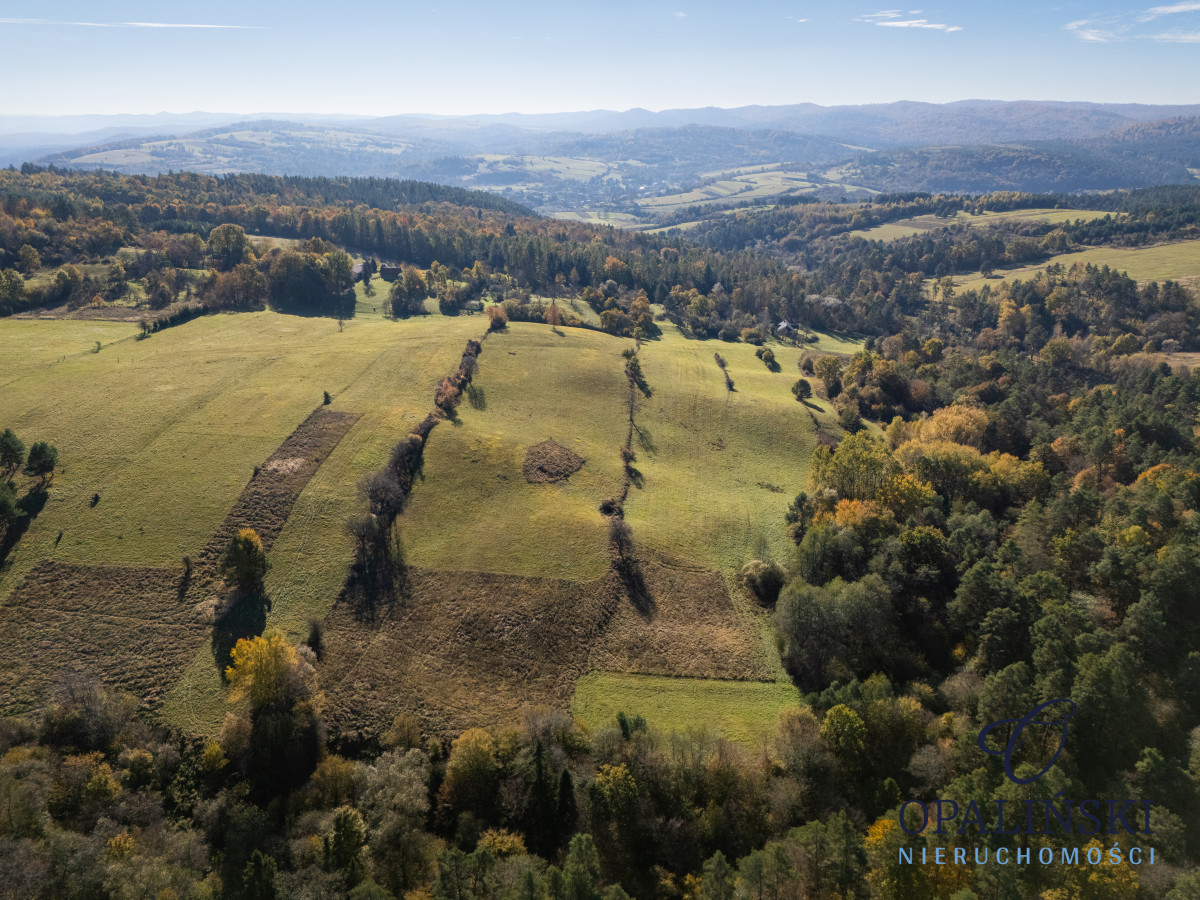 1,97 ha | Malownicza okolica | Okolice Arłamowa Gruszowa - zdjęcie 8