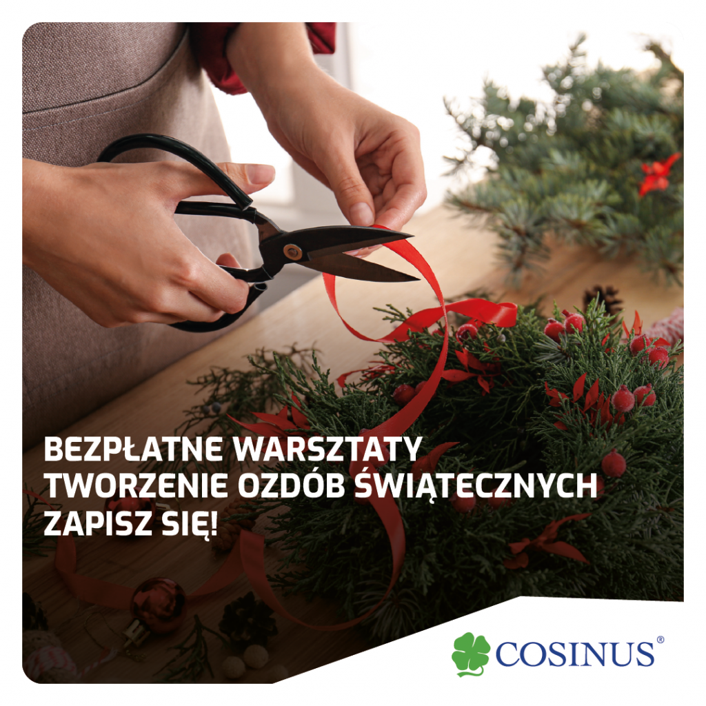 Bezpłatne warsztaty florystyczne! Inowrocław - zdjęcie 1