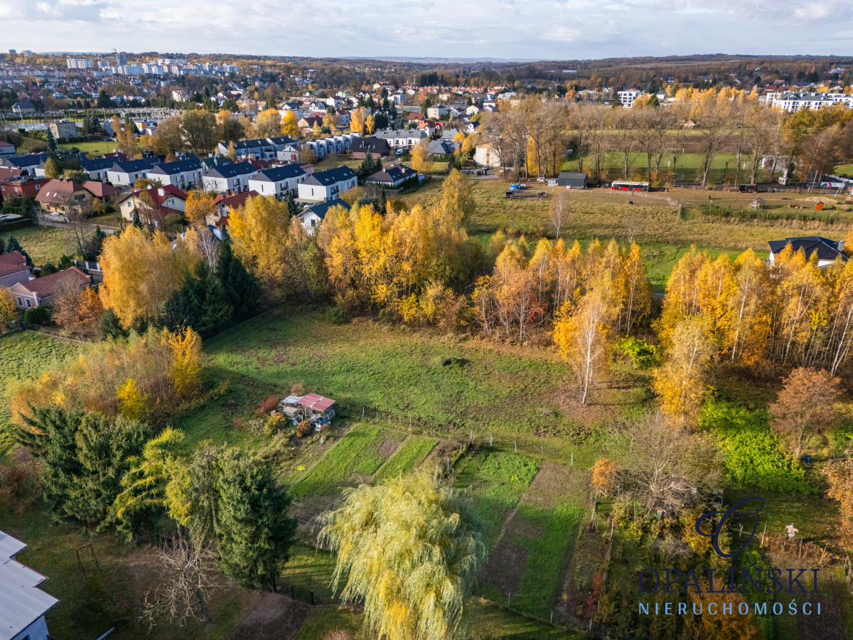 Kameralna okolica | Krakowska | WZ | Zieleń Rzeszów - zdjęcie 4