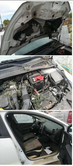 Sprzedaż Samochodu osobowego marki RENAULT Clio IV 1.5 dCi Wieluń - zdjęcie 4