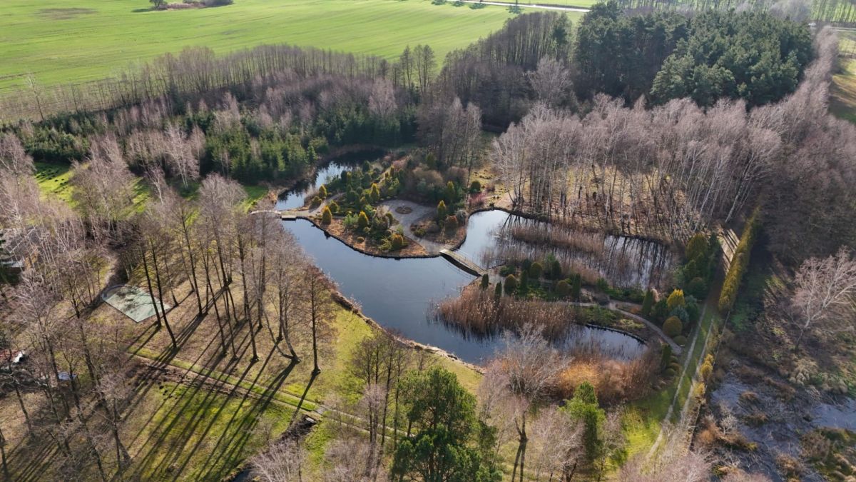 Grunt inwestycyjny- turystyka. Dostęp do jeziora Świecie - zdjęcie 12