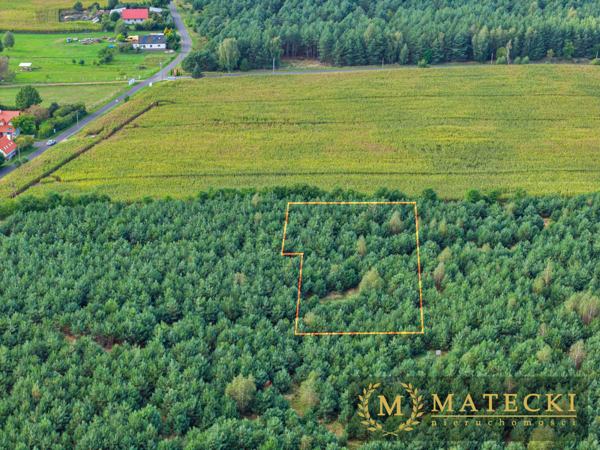 Wyjątkowa, duża działka z drzewami Karczewko - zdjęcie 4