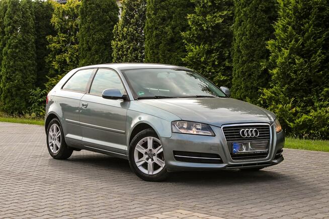 Audi A3 105KM Klimatronik Parktronik Lift Ostrów Mazowiecka - zdjęcie 7