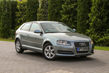 Audi A3 105KM Klimatronik Parktronik Lift Ostrów Mazowiecka - zdjęcie 7
