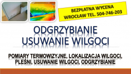 Wykrycie pleśni, t504-746-203. Wrocław, wykrywanie, pleśń, lokalizacja Psie Pole - zdjęcie 2