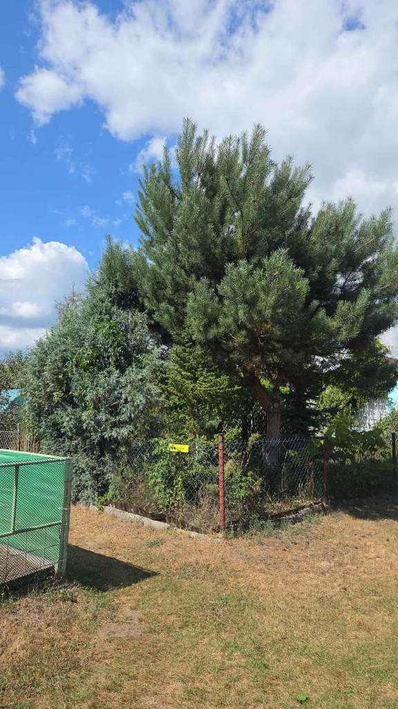 Działka ROD z murowaną altaną Kędzierzyn-Koźle - zdjęcie 5