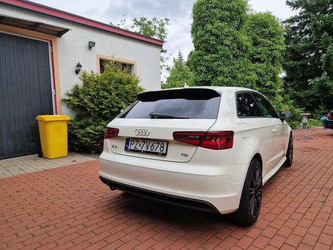 Audi A3 S-Line 1.6 Tdi Xenon Led Bardzo Sliczna Poznań - zdjęcie 4