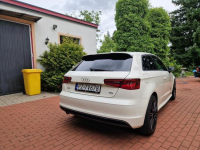 Audi A3 S-Line 1.6 Tdi Xenon Led Bardzo Sliczna Poznań - zdjęcie 4