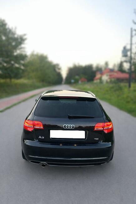 Audi A3 8P 2.0 TDI 140KM 2011, bogata wersja Kraśnik - zdjęcie 3