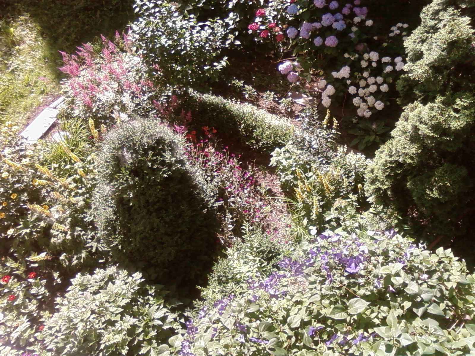 os. Podwawelskie - pokój z widokiem na zieleń Podgórze - zdjęcie 5