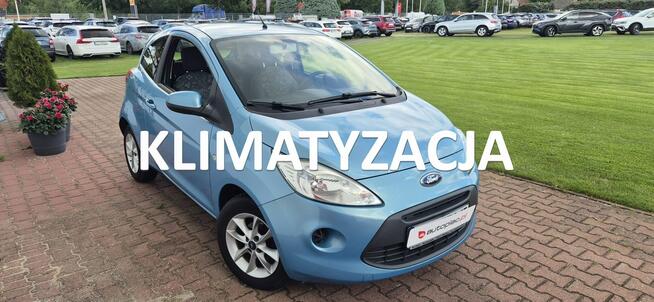 Ford KA GRZANE FOTELE Paproć - zdjęcie 1