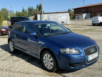 Audi A3 *1.9 Tdi*webasto*alu*z Niemiec*super stan* Dąbrowa - zdjęcie 12