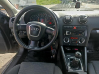 Audi A3 8p Grybów - zdjęcie 7