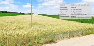 Rolna, licytacja komornicza Windyki - zdjęcie 2
