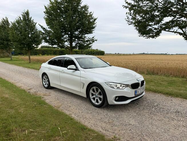 BMW 420 Sadlno - zdjęcie 3