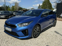 Kia Pro Cee'd salon PL, 1.5 T-GDI 7DCT, FV 23%, ASO, GT LINE Pęcice - zdjęcie 4
