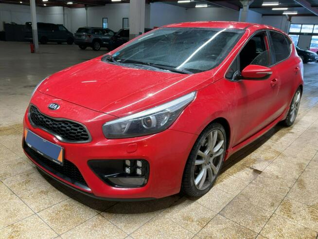 Piękna Kia Ceed GT 1.6 TGDi stan rewelacyjny! Sosnowiec - zdjęcie 1