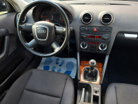 Audi A3 * 1.9TDi* czarny* 5DRZWI* bdb stan* KLIMA* alufelgi * Olsztyn - zdjęcie 11