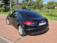 Audi TT Oryginał Stan Bezwypadkowy Zadbany Serwis do końca Zielona Łąka - zdjęcie 5