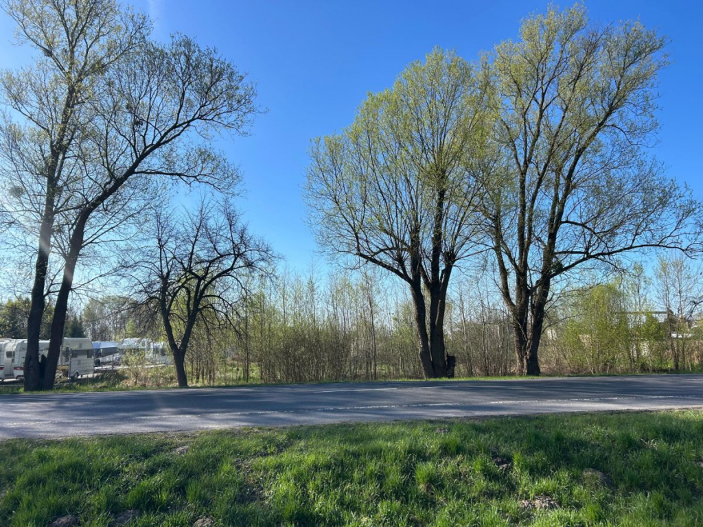 Działka pod budowę biura i hali przy drodze wojewó Bugaj - zdjęcie 2