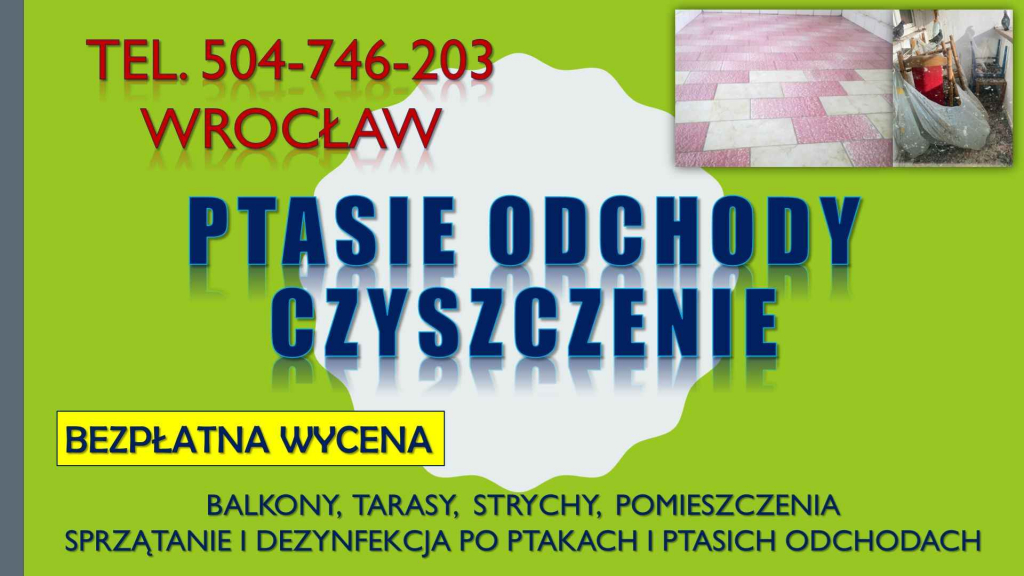 Ptasie odchody, sprzątanie, Wrocław, t.504746203. dezynfekcja balkonu. Psie Pole - zdjęcie 2