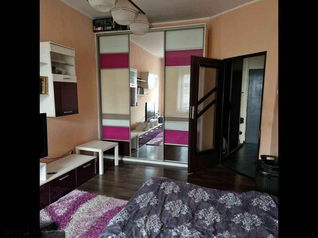 2pok, 52met, Okolice Siemieńskiego ROZKŁAD/PIWNICA (Wrocław) Psie Pole - zdjęcie 5