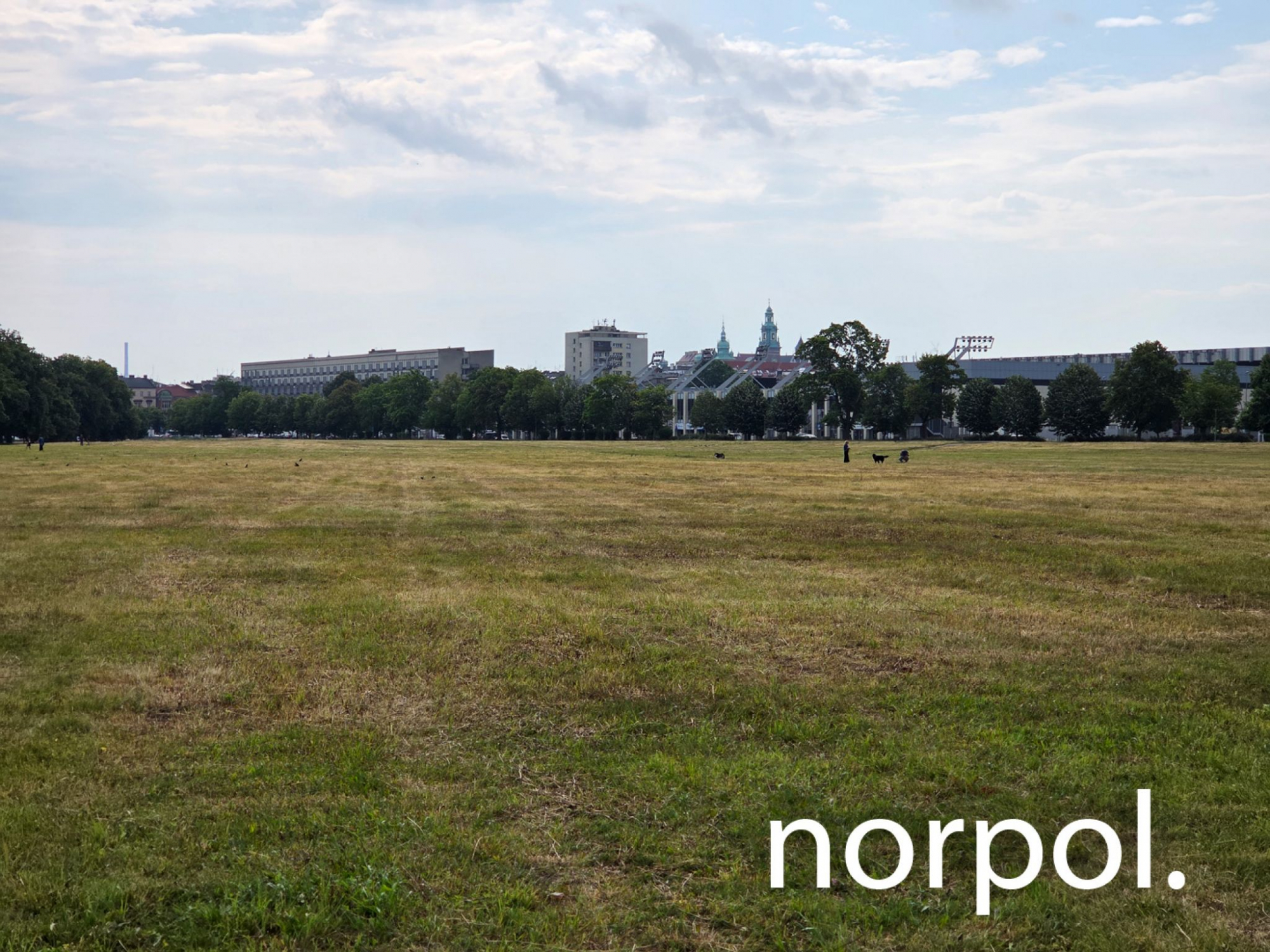 Lokal 75 m² na wynajem przy Błoniach – prestiż, ruch i świetna Kraków - zdjęcie 4
