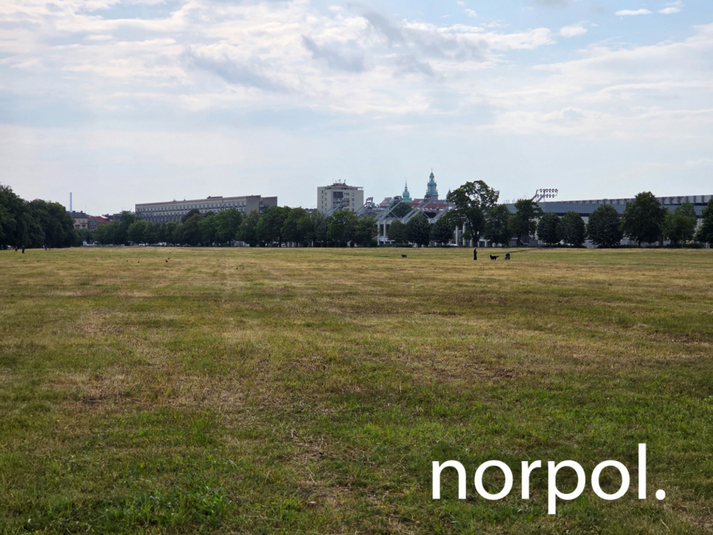 Lokal 75 m² na wynajem przy Błoniach – prestiż, ruch i świetna Kraków - zdjęcie 4