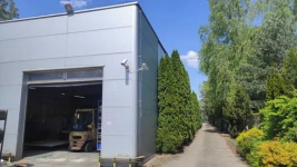 Lokal na wynajem Słupno Słupno - zdjęcie 3