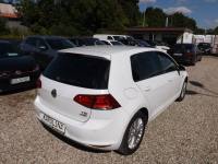 Volkswagen Golf Słupsk - zdjęcie 6