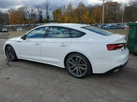 Audi A5 / Quattro / S-Line / Bogate wyposażenie / Tarnów - zdjęcie 5