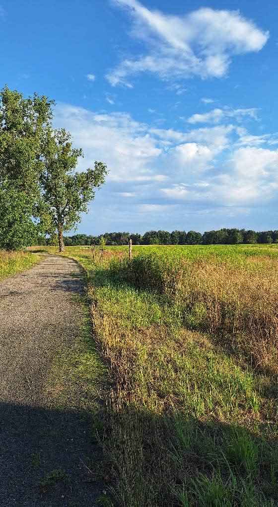 Dom po remoncie wśród Lasów Stobrawskich Dąbrówka Dolna - zdjęcie 10