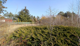 Działka na sprzedaż Strykowo Strykowo - zdjęcie 8