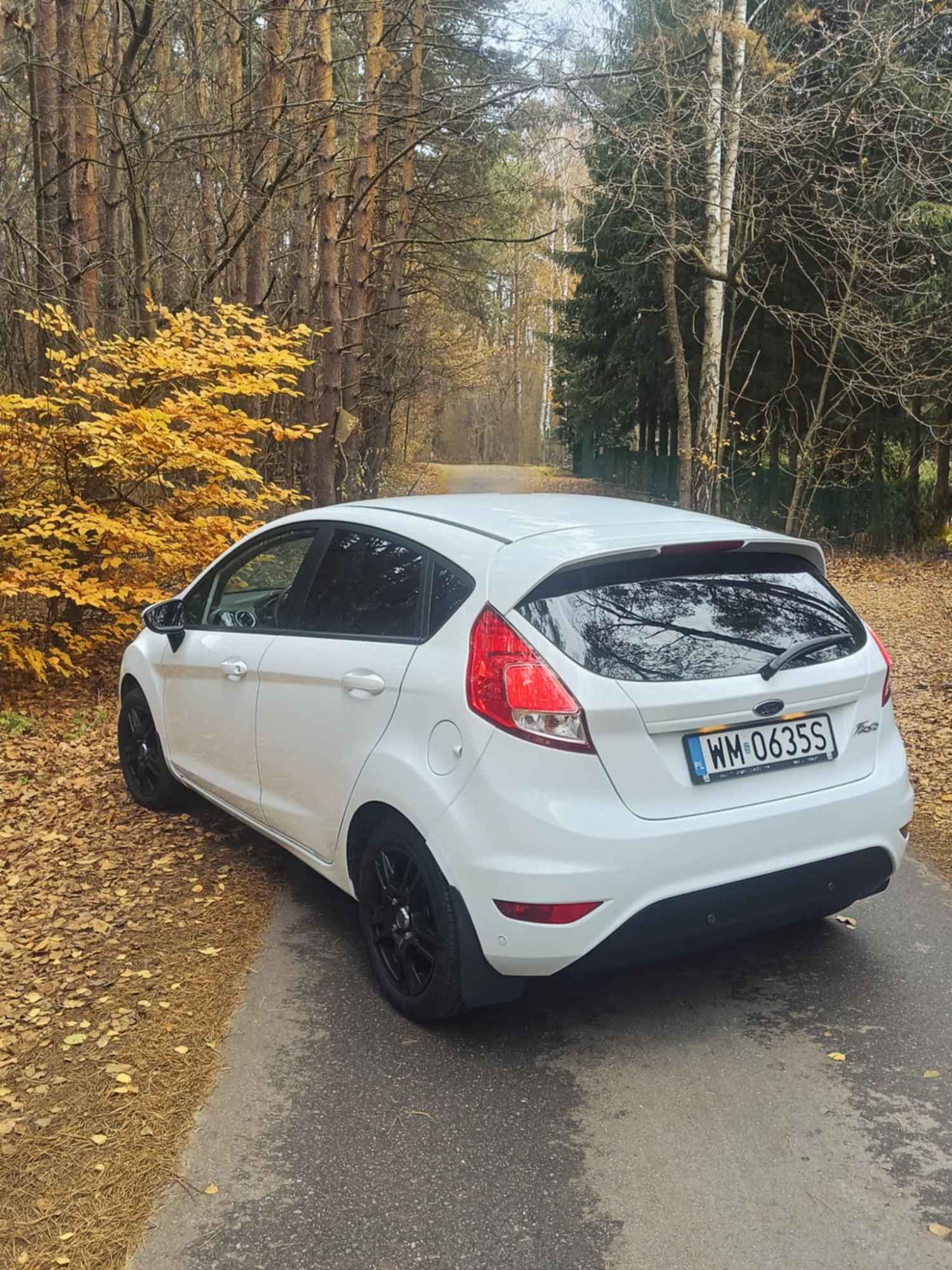 Ford Fiesta 2016 Tarczyn - zdjęcie 2