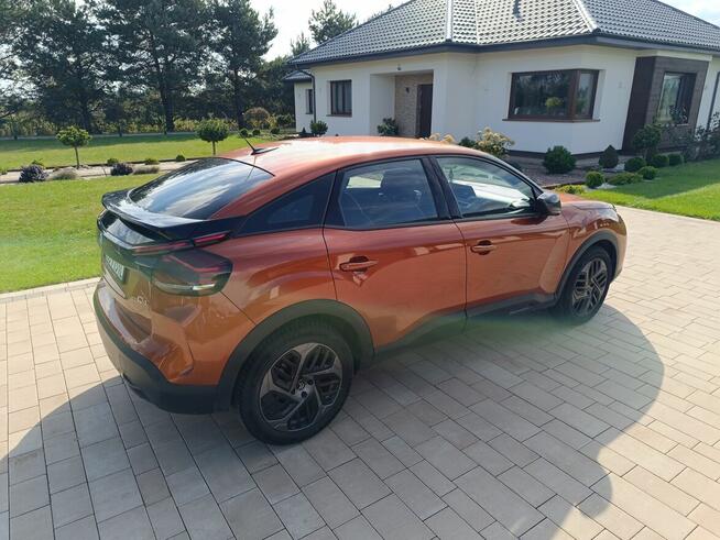 Bardzo ładny Super kolor Góra - zdjęcie 11