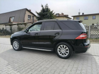 MERCEDES ML 250 CDI / 4-MATIC / HAK / CZARNY / OKAZJA Ostrów Wielkopolski - zdjęcie 11