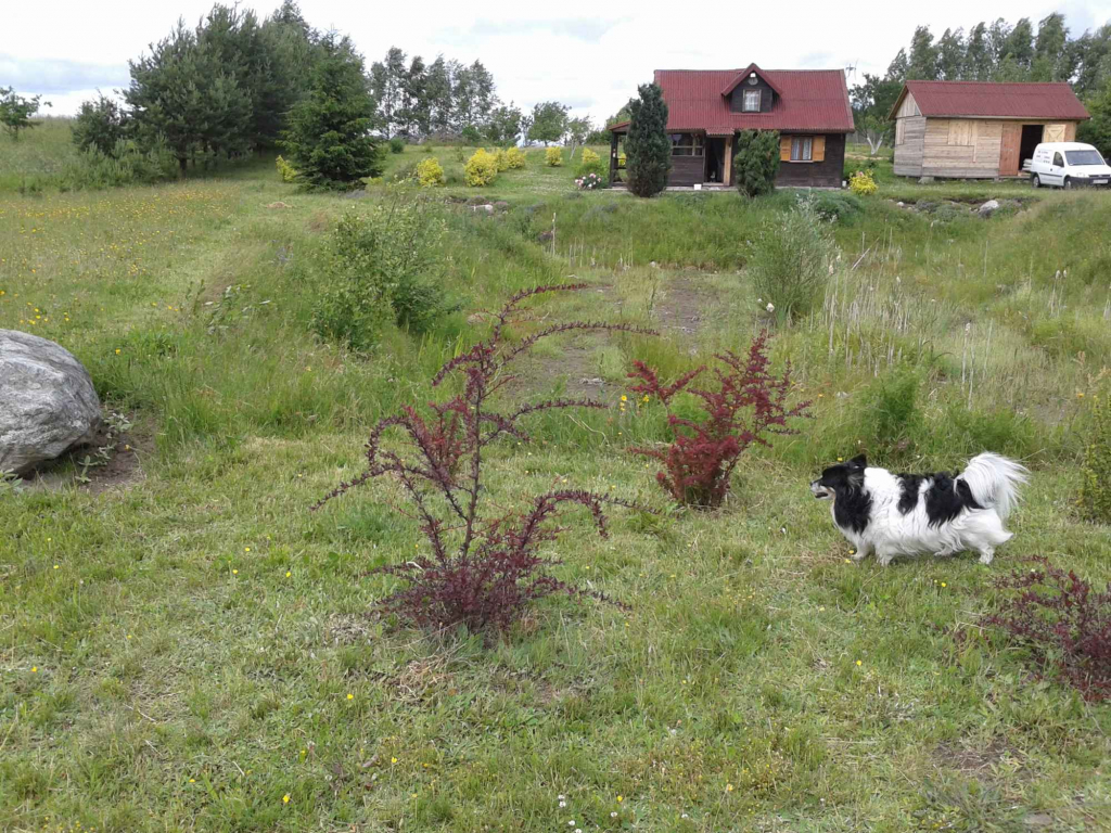KASZUBY.DZIAŁKA BUDOWLANA. WARUNKI ZABUDOWY. Skrzydłowo - zdjęcie 5
