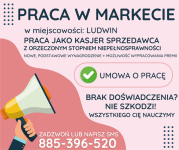 Praca w markecie, Dino Polska S.A., LUDWIN