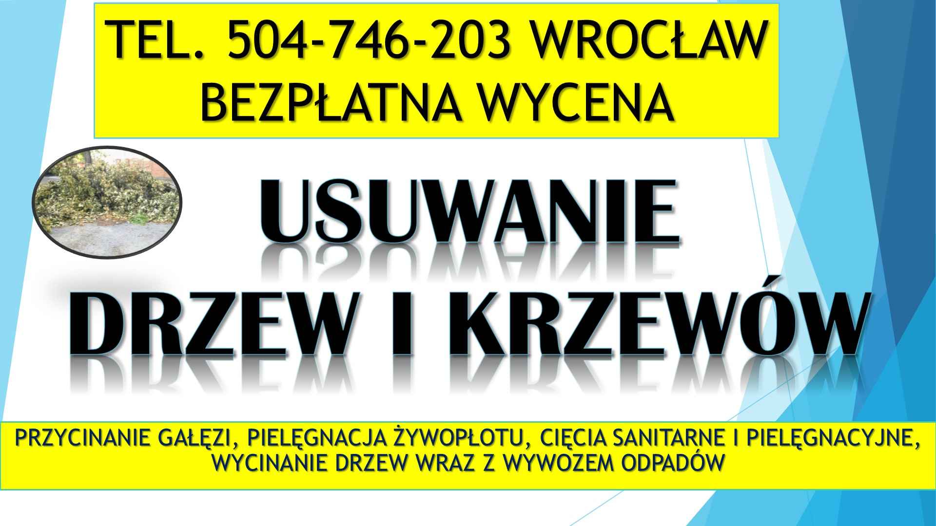Przycinanie gałęzi, cena,  t.504-746-203, Wrocław,  przycięcie,cięcie Psie Pole - zdjęcie 3
