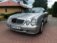 Mercedes CLK 200 Super stan Płońsk - zdjęcie 3